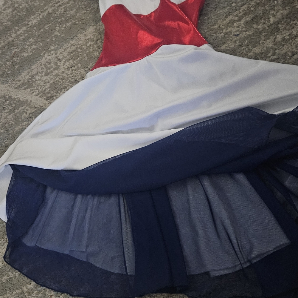 Mary Poppins inspired Ice skating dress - Picture 2 of 5